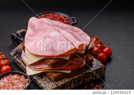 Sandwich with toast, ham, cheese, tomatoes, salt, spices and herbs Sandwich with toast, ham, cheese, tomatoes, salt, spices and herbs 120550524