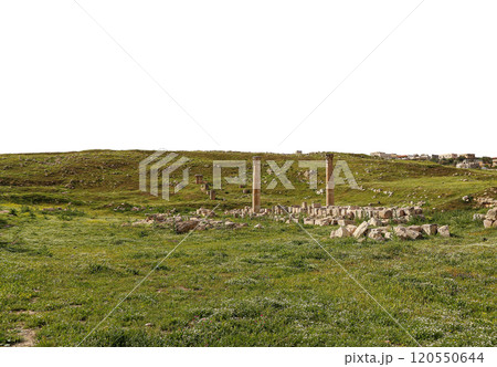 Roman ruins (carved on white background) in the Jordanian city of Jerash (Gerasa of Antiquity), capital and largest city of Jerash Governorate, Jordan 120550644