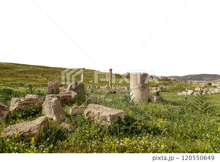 Roman ruins (carved on white background) in the Jordanian city of Jerash (Gerasa of Antiquity), capital and largest city of Jerash Governorate, Jordan 120550649