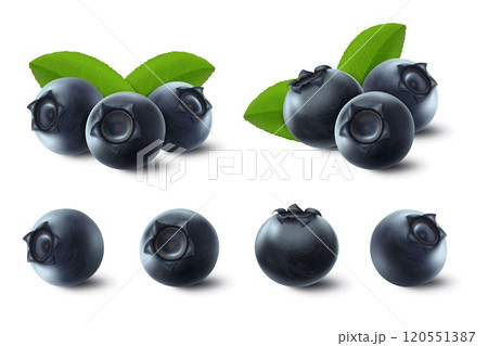 Vector 3d realistic raw blueberry with green leaves, isolated on white background. Ripe berries full of nutritions and vitamins, juicy fresh cooking ingredient. Vector 3d realistic raw blueberry with green leaves, isolated on white background. Ripe berries full of nutritions and vitamins, juicy fresh cooking ingredient. 120551387