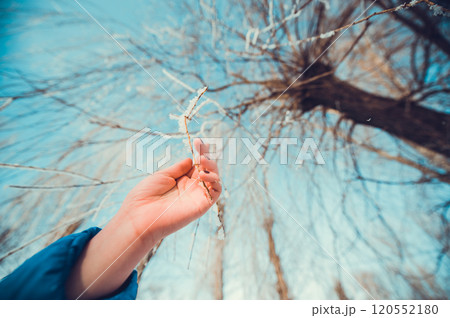 Concept tree frozen hands 120552180
