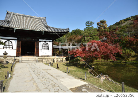 高台寺 開山堂と臥龍池とモミジ(京都市東山区) 高台寺 開山堂と臥龍池とモミジ(京都市東山区) 120552356