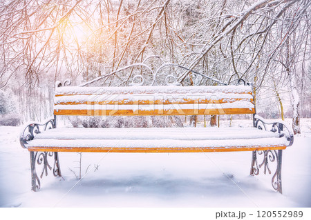 Amazing view of park bench and trees covered by heavy snow 120552989