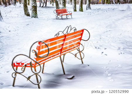 Astonishing view of park bench and trees covered by heavy snow. 120552990
