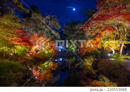 新潟・弥彦公園 ライトアップされた月夜のもみじ谷 新潟・弥彦公園 ライトアップされた月夜のもみじ谷 120553089
