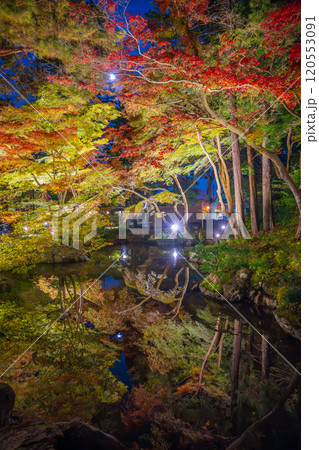 新潟・弥彦公園 ライトアップされたもみじ谷の夜景 新潟・弥彦公園 ライトアップされたもみじ谷の夜景 120553091