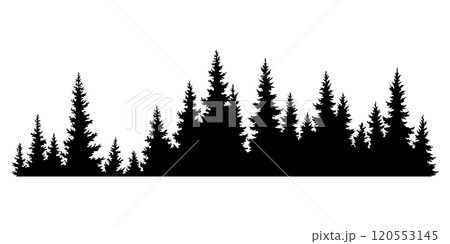 Fir trees silhouette. Coniferous spruce horizontal background pattern, black evergreen woods vector illustration. Beautiful hand drawn panorama of coniferous forest Fir trees silhouette. Coniferous spruce horizontal background pattern, black evergreen woods vector illustration. Beautiful hand drawn panorama of coniferous forest 120553145