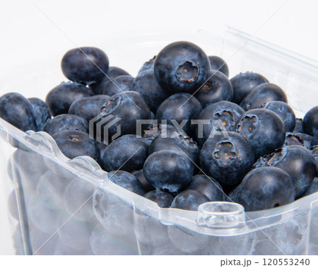 Perfect blueberry on the white background 120553240