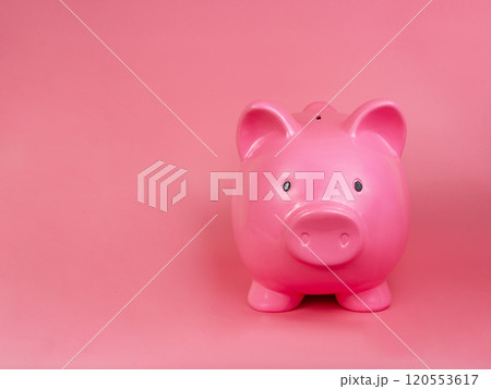 Pink piggy bank ceramic money toy with copy space on pink background 120553617