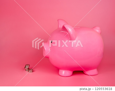 Pink piggy bank ceramic money coins toy isolated on the white background 120553618
