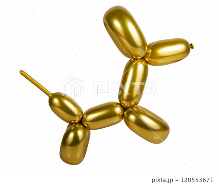 Gold bright balloon dog isolated on the white background Gold bright balloon dog isolated on the white background 120553671