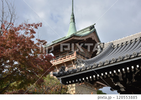 秋の大雲院　祇園閣(京都市東山区) 120553885