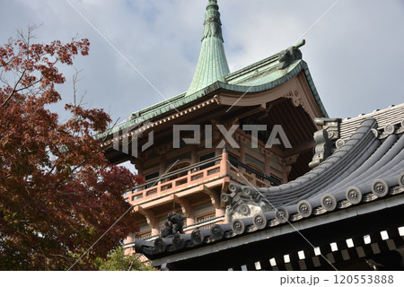 秋の大雲院　祇園閣(京都市東山区) 120553888