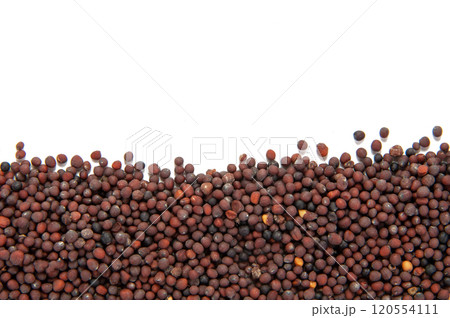 Dry mustard black seeds isolted on the white background 120554111