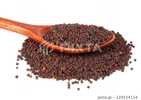 Dry mustard black seeds in wooden spoon isolted on the white background 120554114
