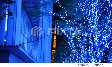 青いイルミネーションと東京タワー 青いイルミネーションと東京タワー 120554536