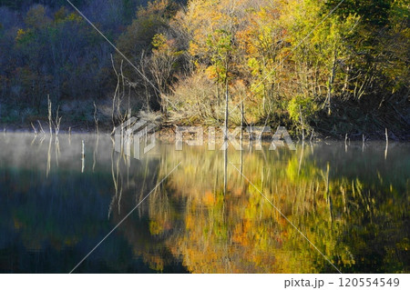 晩秋の徳山ダム湖の紅葉 晩秋の徳山ダム湖の紅葉 120554549