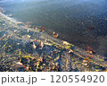 屈斜路湖の湖縁と枯れ葉 北海道 120554920