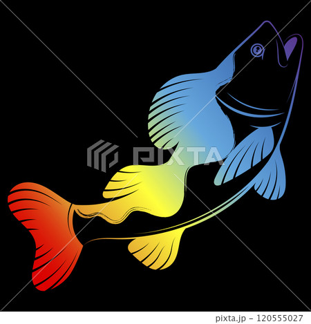 Rainbow color fish on black background 120555027
