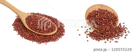 red quinoa seeds in wooden spoon and bowl isolated on white background with full depth of field red quinoa seeds in wooden spoon and bowl isolated on white background with full depth of field 120555220