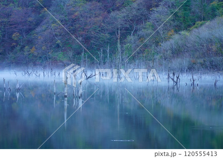晩秋の徳山ダム湖のけあらしと紅葉 120555413