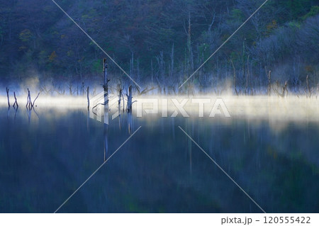 晩秋の徳山ダム湖のけあらしと紅葉 晩秋の徳山ダム湖のけあらしと紅葉 120555422