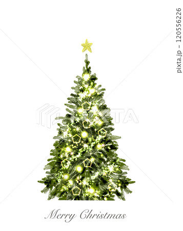 水彩で描いたクリスマスツリー 水彩で描いたクリスマスツリー 120556226