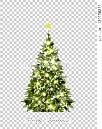 水彩で描いたクリスマスツリー 水彩で描いたクリスマスツリー 120556226