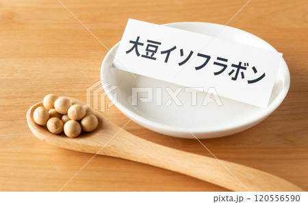 スプーンにのった大豆と大豆イソフラボンの文字 生豆 粒 豆類 スプーンにのった大豆と大豆イソフラボンの文字 生豆 粒 豆類 120556590