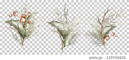 Watercolor holly Christmas ornament. Xmas green bouquet isolated on white background. Hand drawn Winter holiday decoration for design cards, invitation. 120556826