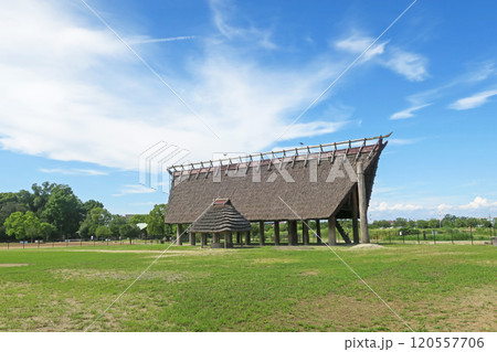 大阪・池上曽根遺跡公園 いずみの高殿 大阪・池上曽根遺跡公園 いずみの高殿 120557706