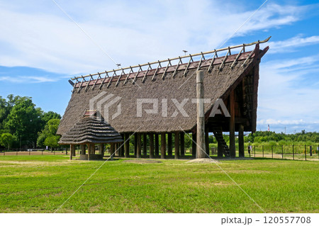 大阪・池上曽根遺跡公園 いずみの高殿 120557708