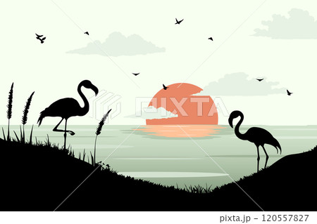 View of flamingos on the beach. Summer day vector illustration poster design template 120557827