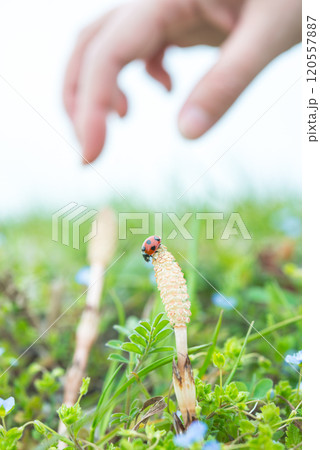 春の風景 春の風景 120557887