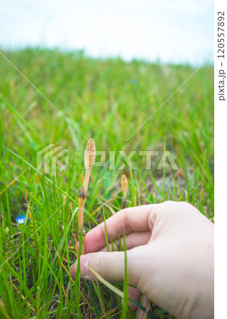 春の風景 120557892