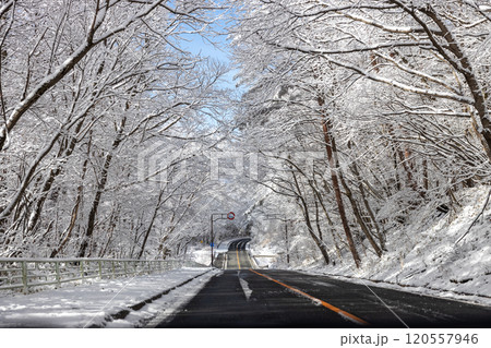 雪の積もった道を走る自動車からの景色 雪の積もった道を走る自動車からの景色 120557946