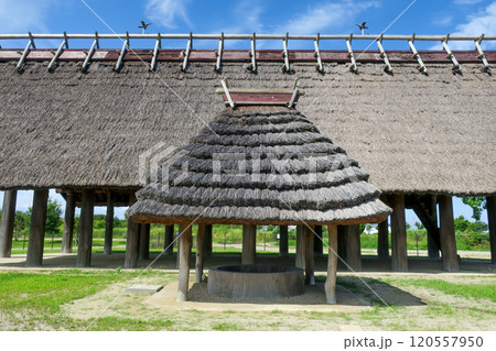 大阪・池上曽根遺跡公園 やよいの大井戸 120557950