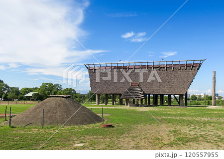 大阪・池上曽根遺跡公園 120557955