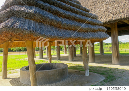 大阪・池上曽根遺跡公園 やよいの大井戸 120558040