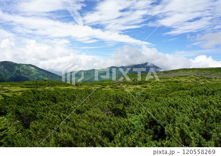 雲ノ平山荘からの眺め 雲ノ平山荘からの眺め 120558269