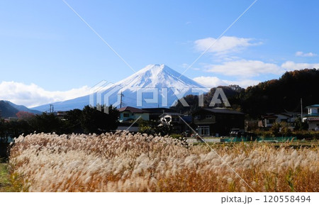 富士山とススキ　山梨県　下吉田 120558494