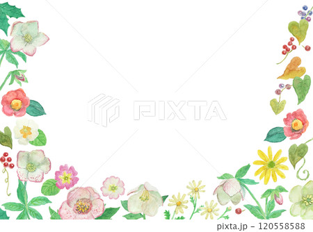 水彩絵の具で描いた冬の花フレーム 水彩絵の具で描いた冬の花フレーム 120558588