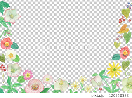 水彩絵の具で描いた冬の花フレーム 水彩絵の具で描いた冬の花フレーム 120558588