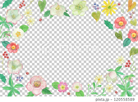 水彩絵の具で描いた冬の花フレーム 水彩絵の具で描いた冬の花フレーム 120558589