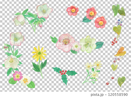 水彩絵の具で描いた冬の花飾り 120558590