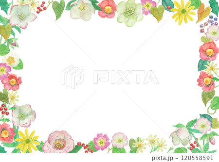 水彩絵の具で描いた冬の花フレーム 水彩絵の具で描いた冬の花フレーム 120558591