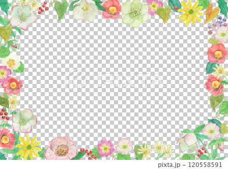 水彩絵の具で描いた冬の花フレーム 水彩絵の具で描いた冬の花フレーム 120558591