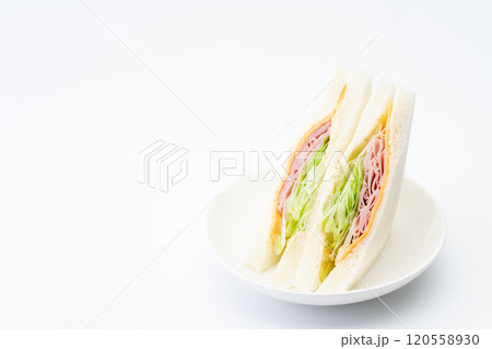 お皿に載った美味しそうなハムとチーズとレタスのサンドイッチ 120558930