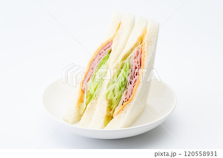 お皿に載った美味しそうなハムとチーズとレタスのサンドイッチ お皿に載った美味しそうなハムとチーズとレタスのサンドイッチ 120558931