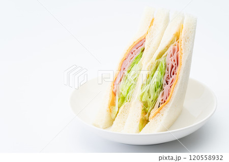 お皿に載った美味しそうなハムとチーズとレタスのサンドイッチ お皿に載った美味しそうなハムとチーズとレタスのサンドイッチ 120558932